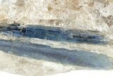 Vibrant Blue Kyanite Crystals In Quartz - Brazil #235366-1